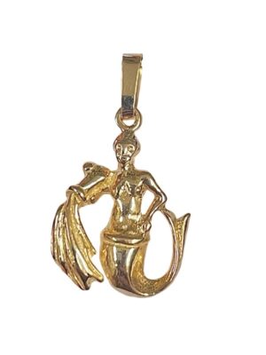 Horoskooppiriipus Vesimies 14k kulta