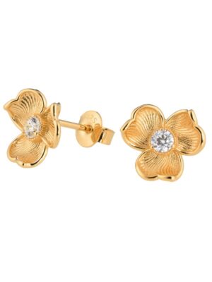 Lumoava Anna korvakorut kirkkaalla kivellä, keltakullattua hopeaa